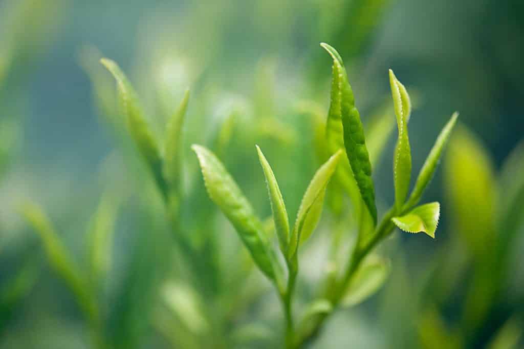 blog_01