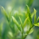 blog_01