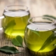 Fresh green tea with tea leaves in the water