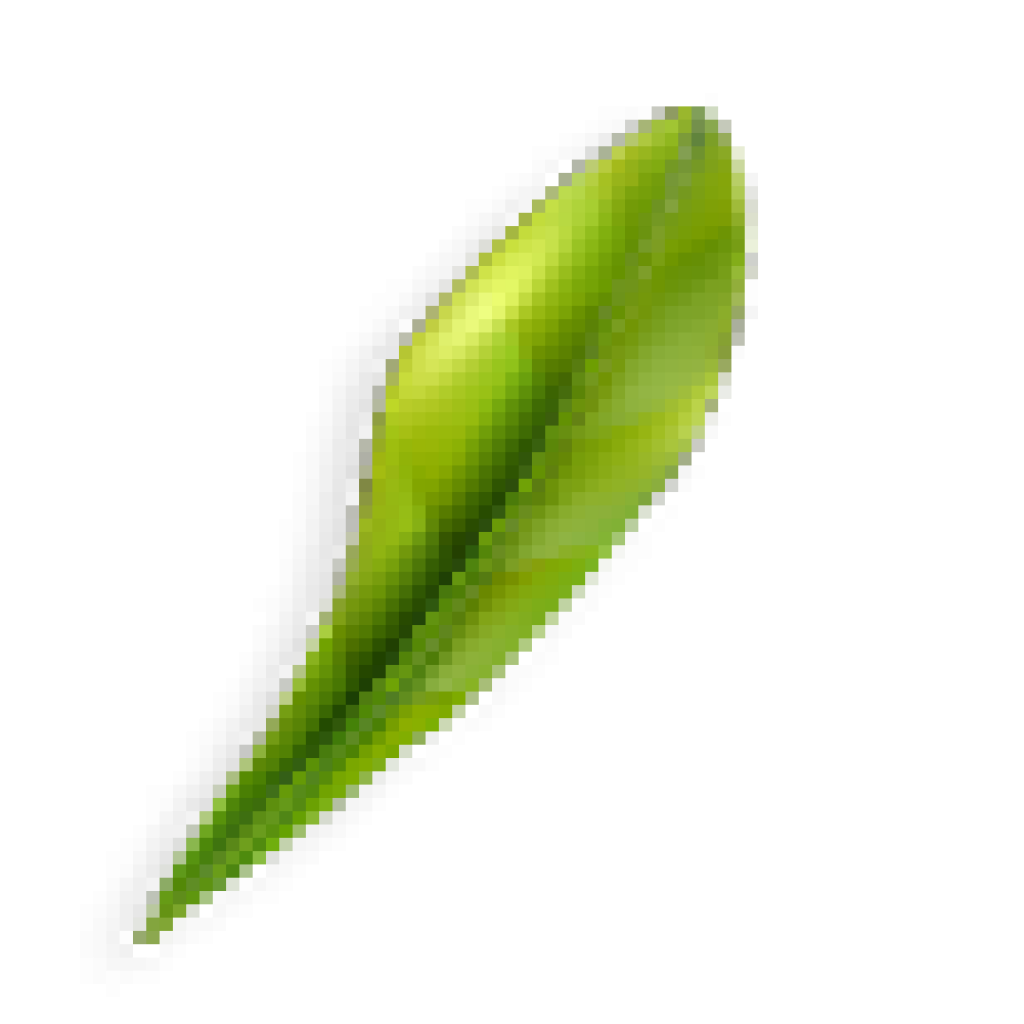 category-back-leaf1