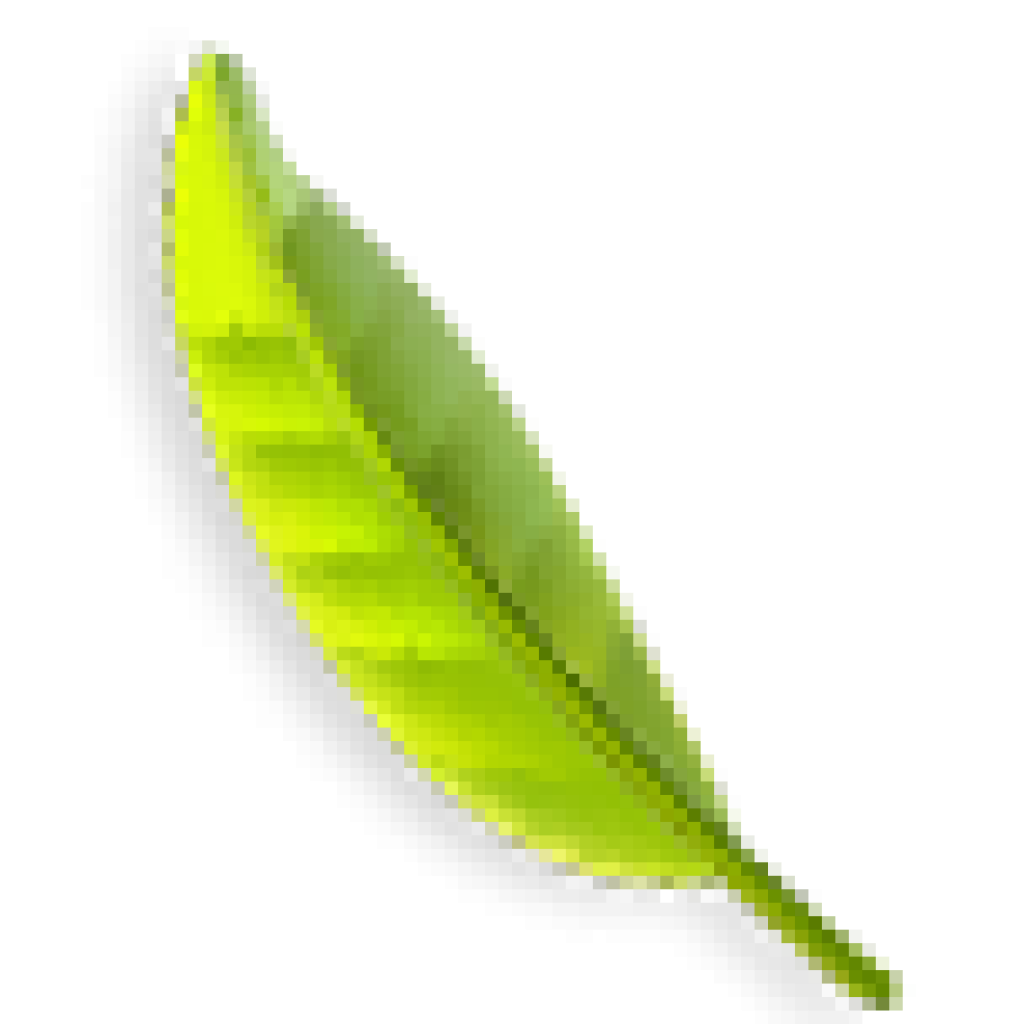 category-back-leaf2