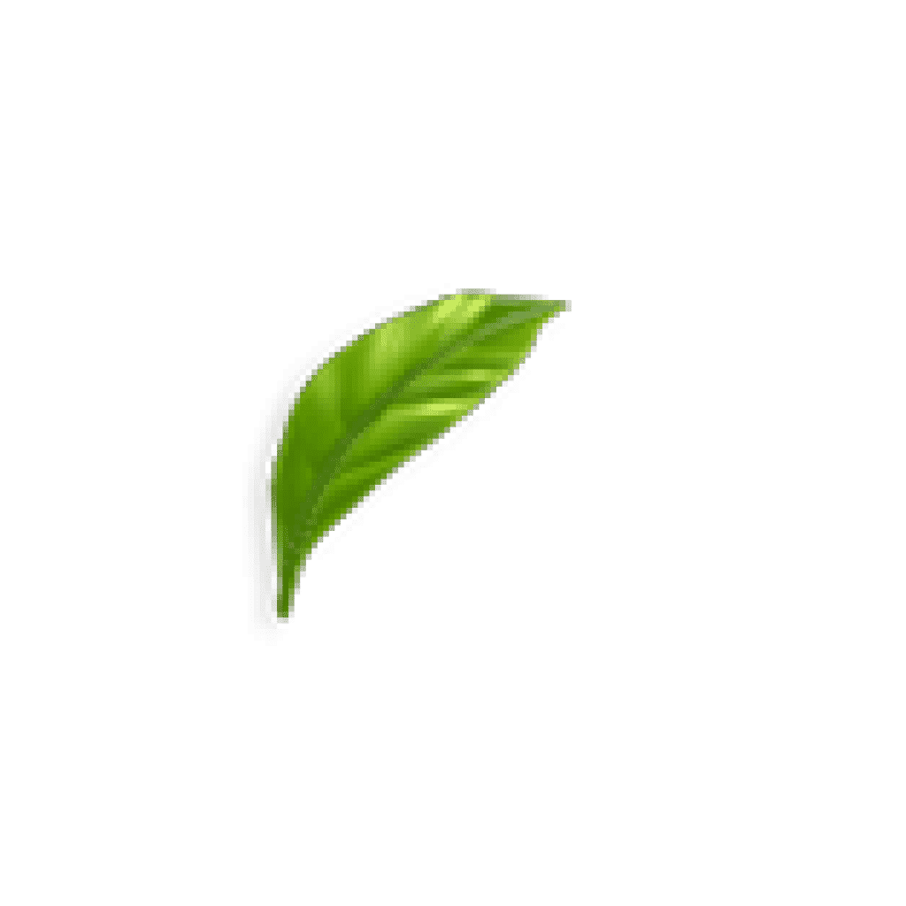 category-back-leaf4