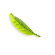 tea-leaf-2