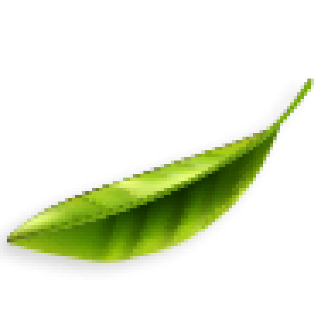 tea-leaf-3