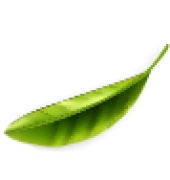 tea-leaf-new